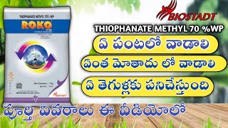 62 Biostadt Roko FungicideThiophanate Methyl 70WPపూర్తి వివరాలు ఈ వీడియోలో [upl. by Asiruam451]