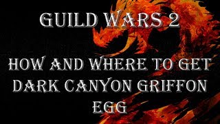 GW2 How and where to get Dark Canyon Griffon Egg [upl. by Llednahc]