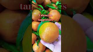 Clementinas  Tangerines Valencian Community [upl. by Adnomal]