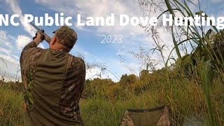 NC Public Land Dove Hunting [upl. by Oilla]