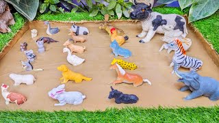 Cute Zoo Animals Stuck in the Sandbox Adventure 🦆🐇 Fun Learning for Toddlers [upl. by Oecile]