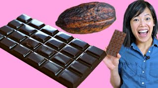 Cocoa POD to CHOCOLATE Bar  How to Make A DIY BeantoChocolate Bar at Home [upl. by Corrine455]