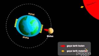 60 Detik Pesona Ilmu  Apa yang menyebabkan terjadinya pasang surut air laut [upl. by Mersey]