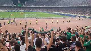 Εκρηξη στο ΟΑΚΑ μετα το γκολ του Τετε  Panathinaikos vs Lens 20 [upl. by Yerac]