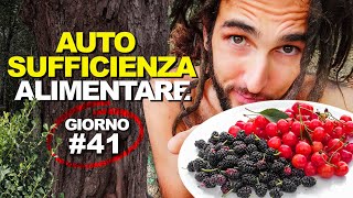 Gelsi e amarene 🍒  AUTOSUFFICIENZA ALIMENTARE Giorno 41 [upl. by Irem874]