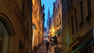 Bruxelles Brussels Belgium 🇧🇪 Walking tour 4K Video 2024 4K explore nature [upl. by Gorges]