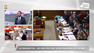 Loi immigration  les députés détricotent le texte du Sénat [upl. by Ojimmas]