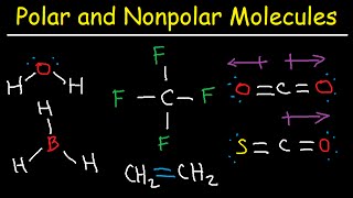 Polar and NonPolar Molecules How To Tell If a Molecule is Polar or Nonpolar [upl. by Niryt]