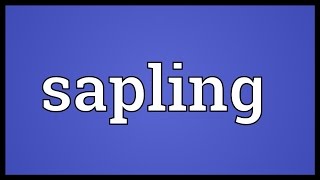 Sapling Meaning [upl. by Eitteb]