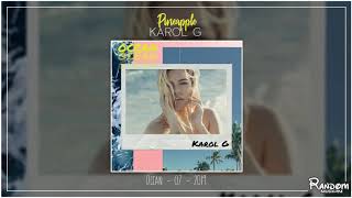 Karol G  Pineapple audio [upl. by Parrnell]