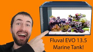 Fluval EVO 135G52L Marine Tank Unboxing [upl. by Jenelle483]