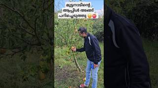 അല്ല പിന്നെ പിയർ ❤️😆 ukmalayali kerala familyvlogs malayalamfamilyvlog apple trip india [upl. by Strephonn]