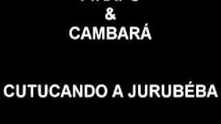 Pirapó e Cambará  Cutucando a jurubéba raridade [upl. by Namref]