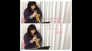 【グリーンスリーブス トランペット二重奏】Greensleeves Tp Duo 楽譜 [upl. by Bathelda]