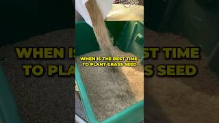 When is the best time to plant grass seed shorts [upl. by Ammon]