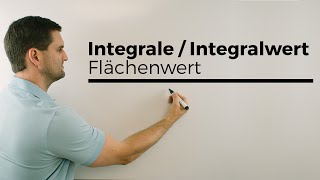 Integrale Integralwert Flächenwert im Sachzusammenhang  Mathe by Daniel Jung [upl. by Enelime]