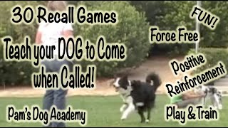 30 Recall Games Positive Reinforcement Dog Training [upl. by Benton]