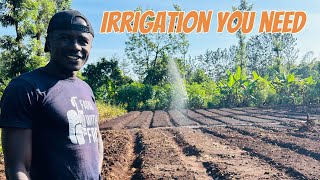 Best irrigation system Things to know when choosing irrigation method [upl. by Morette]