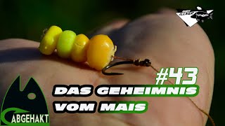 ABGEHAKT 43 DAS GEHEIMNIS VOM MAIS [upl. by Dulci]