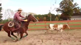 Paradise Ranch Cattle Work [upl. by Boyd]