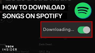 How To Download Music From Spotify 2022 [upl. by Sel]