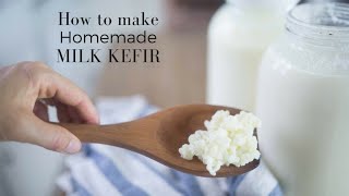 How to Make Milk Kefir [upl. by Merriman]