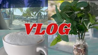 SnapShot Breakfast vlog [upl. by Alded39]