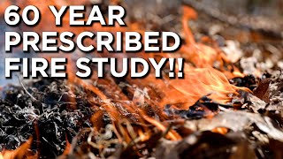 The LONGEST Prescribed Fire Study In North America [upl. by Sidonius81]