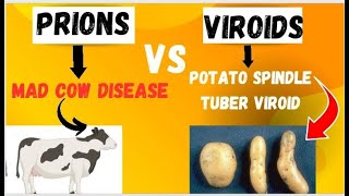 Subviral Particles  Prion and Viroid  prions vs Viroids [upl. by Sanferd332]