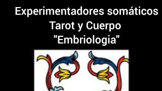 Tarot y Cuerpo quotembriologiaquot [upl. by Zins]