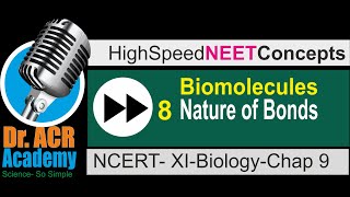 8 Biomolecules NATURE OF BOND LINKING MONOMERS IN A POLYMER [upl. by Jocelin615]