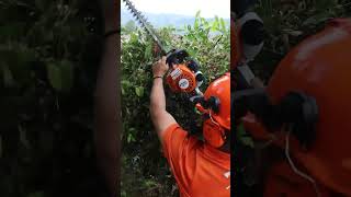 Increíble Cortasetos Stihl HS 45 shorts [upl. by Fulmer375]