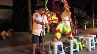 Lion Dance by little MING at Sierramas West CNY 2014 [upl. by Euqirat]