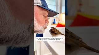 Grandpa rescued a sparrow and found it so clingy [upl. by Cherri232]