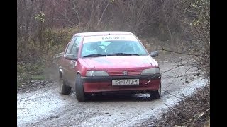 BanBaričević Peugeot 106 8Rally Show Santa Domenica 2017Lepold Sportvideo [upl. by Kala]