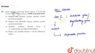 Gene regulation governing lactose operon of E coli that involves the lac I gene product is [upl. by Enyalb]