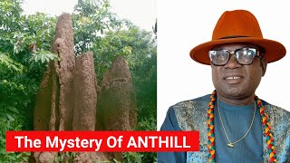 The Mystery Of ANTHILL  Nana Ayebiafo JNANA [upl. by Symons860]