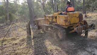 OLD INTERNATIONAL 125B DROTT CLEARING OLD FENCE LINE PART 1 [upl. by Cirded]