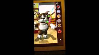 Talking Duke Dog iPhone App Review [upl. by Nueoht]