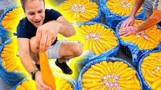 Most INSANE 10000 Street Food in Taiwan  RARE Access to Taiwans most LUXURY Street Food [upl. by Cristen343]