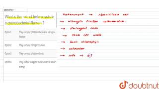 What is the role of heterocysts in a cyanobacterial filament [upl. by Sup]
