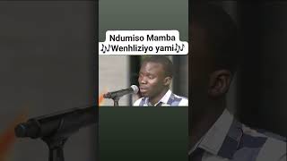 Ndumiso Mamba  Wenhliziyo yami [upl. by Nede]