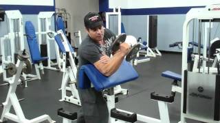 Dumbbell Hammer Curls On The Preacher Curl Bench [upl. by Nosreip]