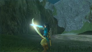 random Zelda BotW Clips [upl. by Annyahs]