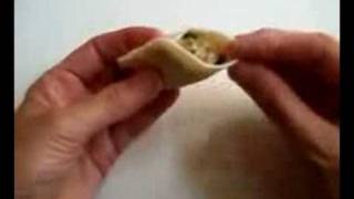 Folding Jiaozi chinese dumplings [upl. by Trudey]