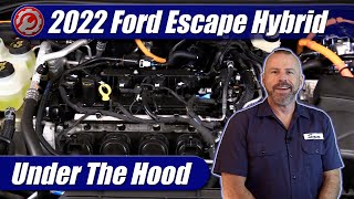 20212024 Ford Escape Hybrid amp PlugIn Hybrid Engine Explained [upl. by Tinor]