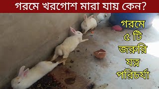 গরমে খরগোশ পালন পদ্ধতি  গরমে খরগোশের যত্ন পরিচর্যা  Khorgos Palon Poddoty  Grow Life [upl. by Arakihc935]