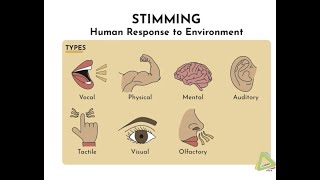 What is stimming Types of Stimming [upl. by Inimak395]