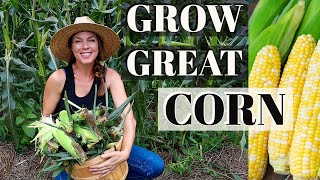 9 Tips for Growing Corn at Home 🌽🌽🌽 [upl. by Eissim]