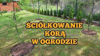 KORA SOSNOWA W OGRODZIE Robimy klomby z obrzeży trawnika agrowłókniny i kory sosnowej Vlog xyz [upl. by Tenenbaum941]